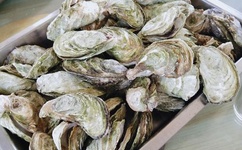 听见凉山演员表